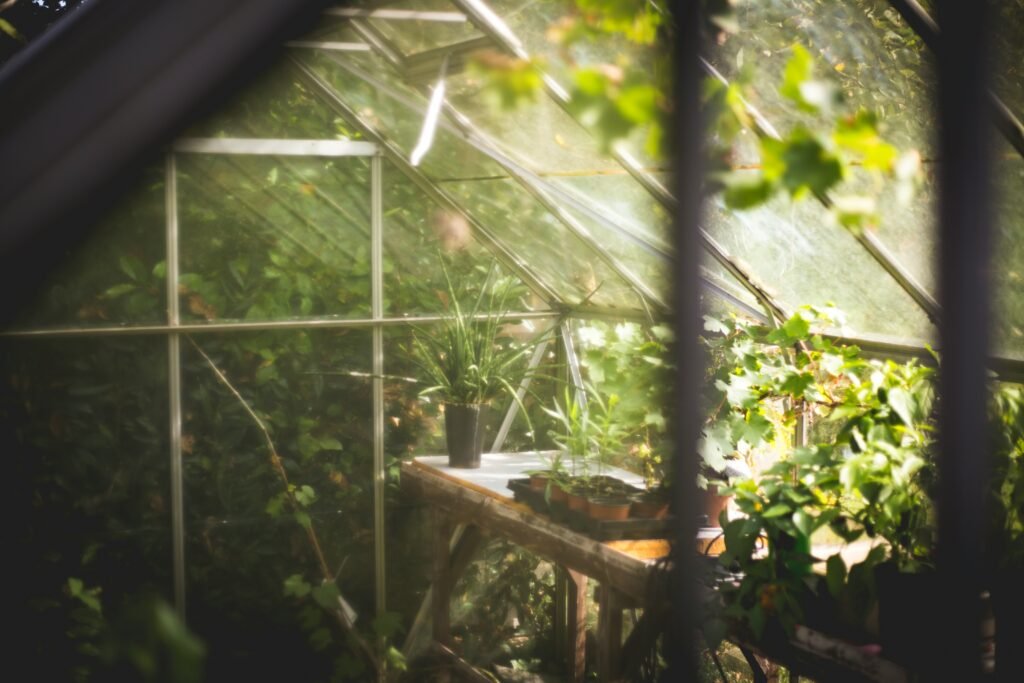 Dark gothic garden greenhouse